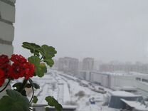 4-к квартира, 102 м², 12/13 эт.