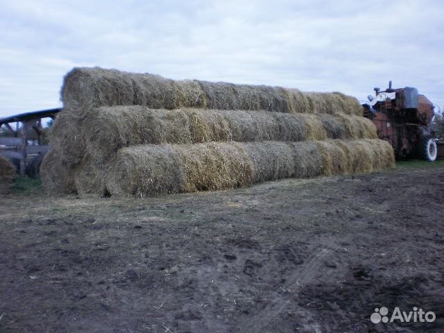 Солома пшеницы в рулонах купить на Зозу.ру - фотография № 2
