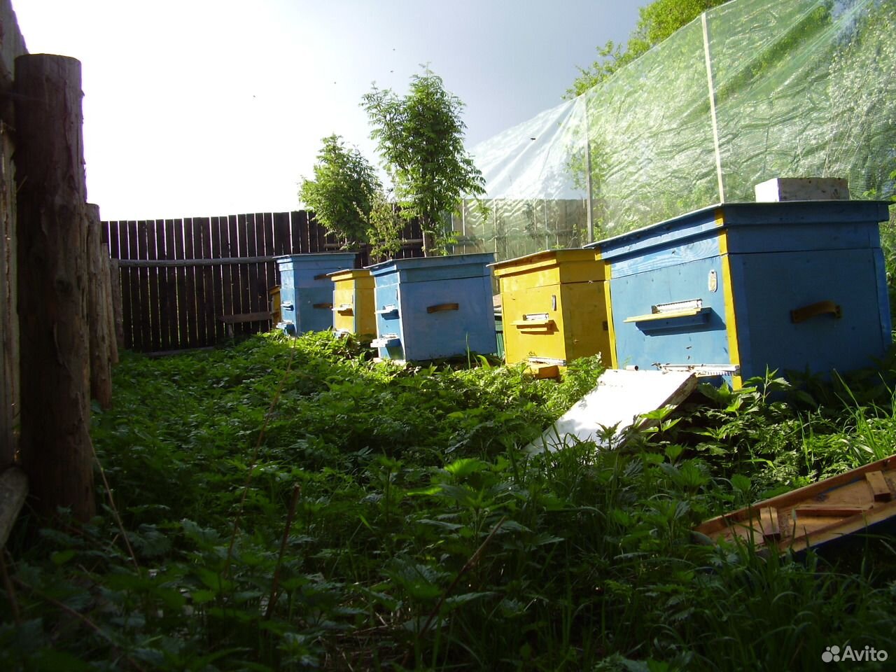 Пчеловодство купить на Зозу.ру - фотография № 1