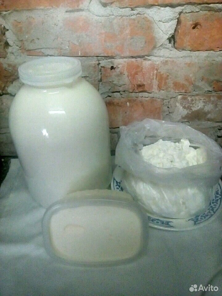 Молоко,творог,сыр купить на Зозу.ру - фотография № 1