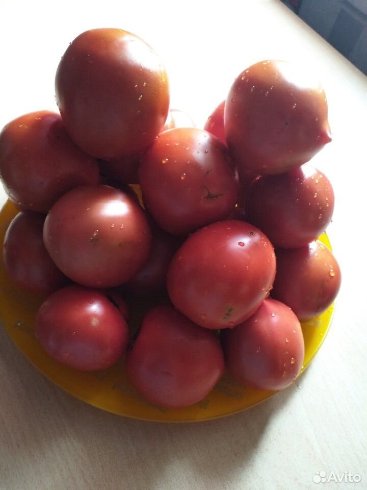 Семена домашних помидор купить на Зозу.ру - фотография № 1