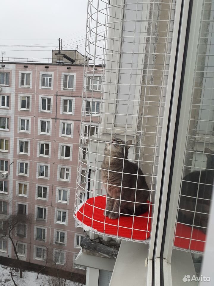 Балкон для кошек купить. Балкон-антикошка katfreedom.. Балкончик антикошка. Кошачий балкон. Балкон для кошек.