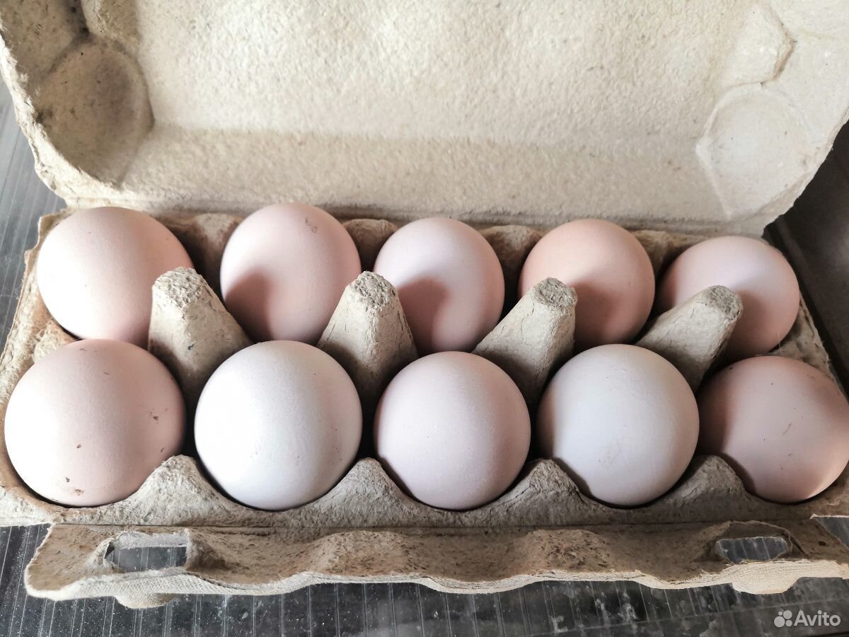 Мини мясные яйцо купить на Зозу.ру - фотография № 3
