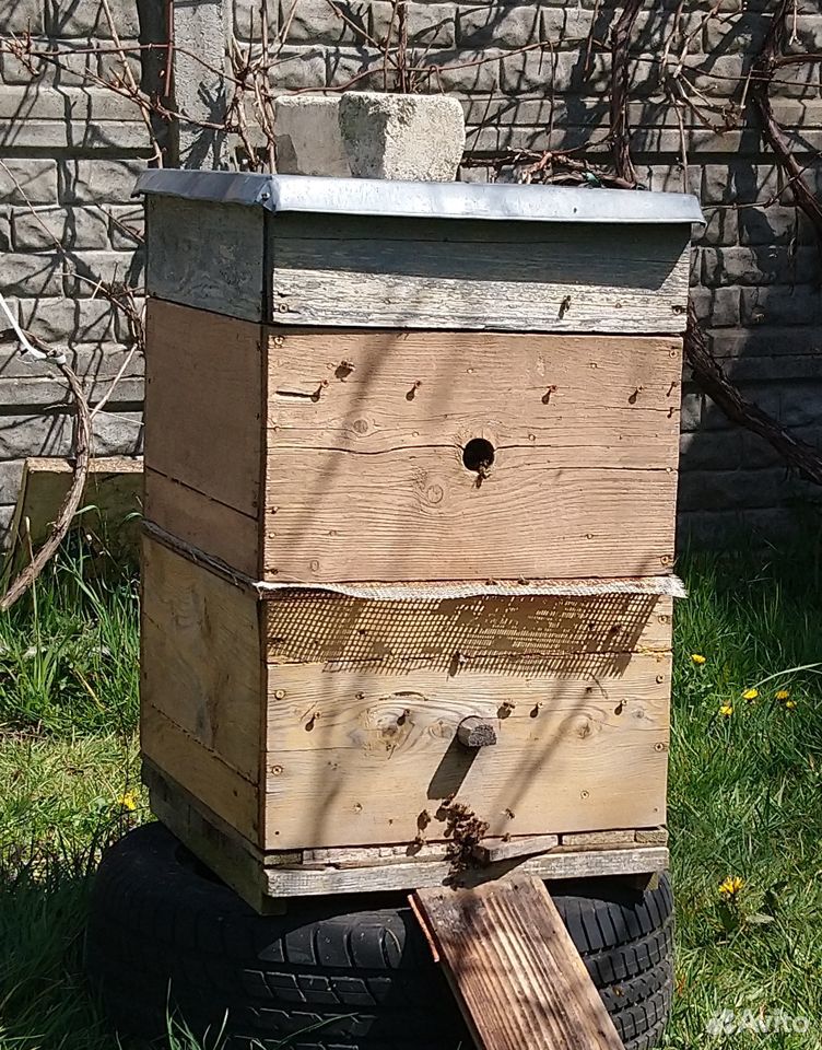 Улей многокорпусный корпуса рамки для пчел купить на Зозу.ру - фотография № 1