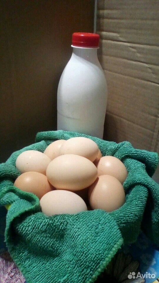 Козье молоко,сыр, яйца купить на Зозу.ру - фотография № 3