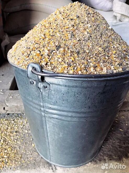 Продам зерно: пшеницу, кукурузу, ячмень, крупы купить на Зозу.ру - фотография № 6
