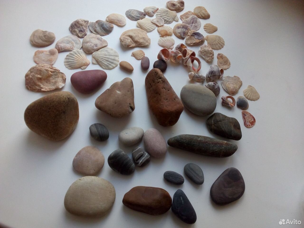 Камни, ракушки, крупнозернистый песок купить на Зозу.ру - фотография № 1