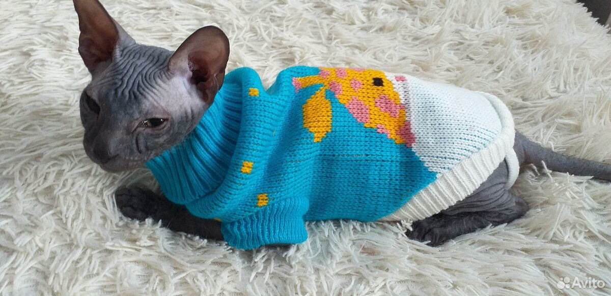 Одежда для кошки сфинкс купить на Зозу.ру - фотография № 4