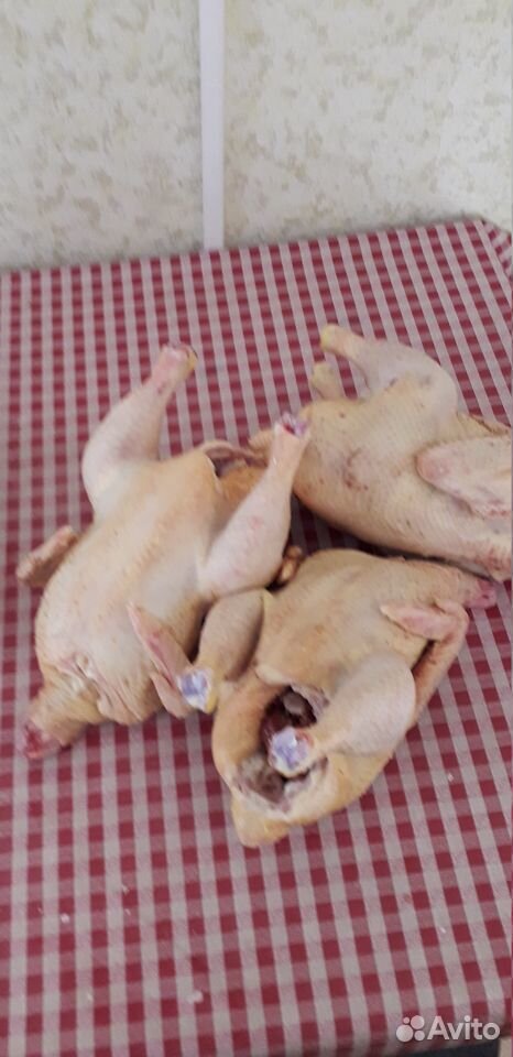 Мясо домашних кур купить на Зозу.ру - фотография № 5