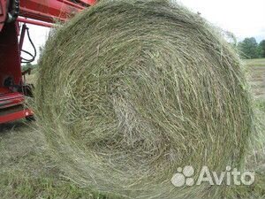 Продам сено в рулонах, разнотравие купить на Зозу.ру - фотография № 1