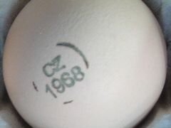Яйцо в инкубатор 11 марта, 8 апреля