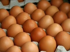 Подаются домашние куриные яйца