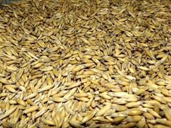 Шелуха пшеницы в мешках
