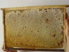 Пчелиная сушь с печатным мёдом,вощина