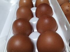 Инкубационные яйца маранов