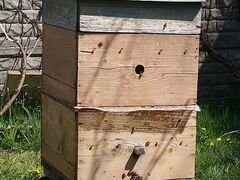 Улей многокорпусный корпуса рамки для пчел