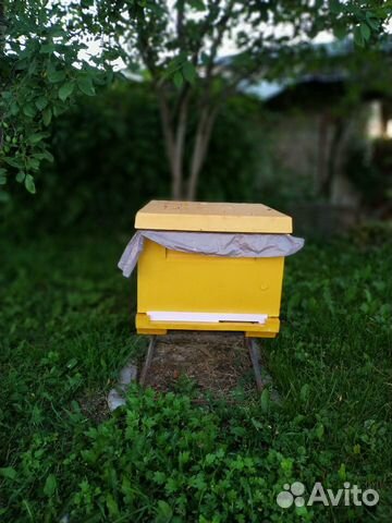 Пчелинные Ульи из ппу на 12 рамок