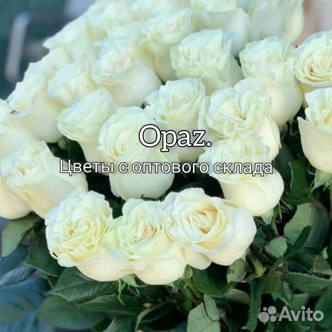 Цветы букет 25 роз