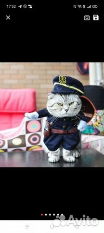 Костюм для животных