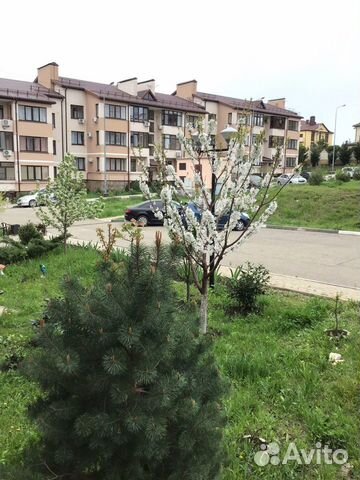 

1-к. квартира, 46,5 м², 3 кровати