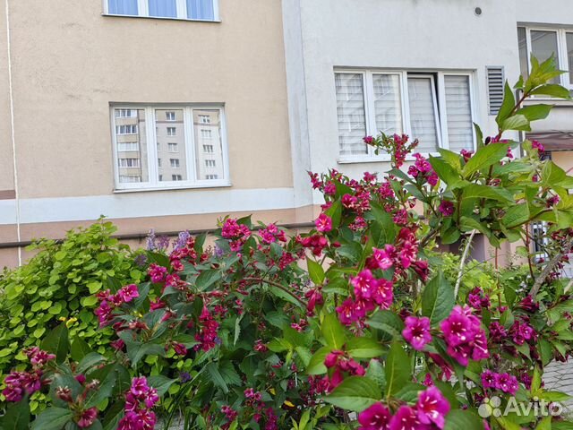 

2-к. квартира, 65 м², 3 кровати
