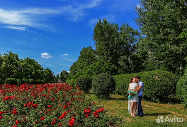 Свадебный фотограф Свадебный фотограф