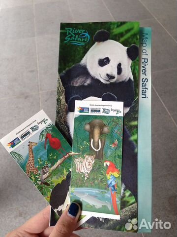 Шапка панда из Сингапурского зоопарка