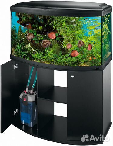 Кимпумы, Фильтры Eheim, JBL, аквариумы Juwel, Aqua Кимпумы, Фильтры Eheim, JBL, аквариумы Juwel, Aqua
