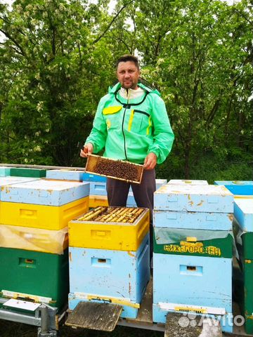 Мед Крымский 2018г от пчеловода Лабунихин