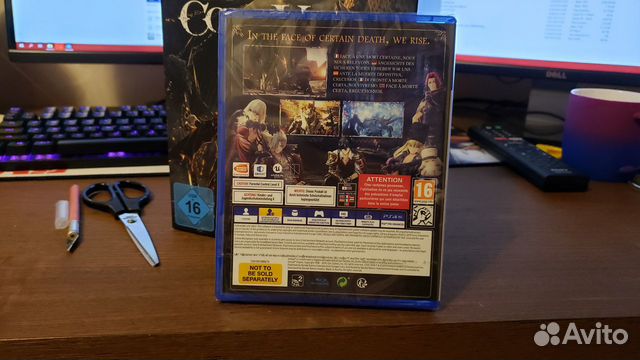 Code Vein (версия из коллекционного издания)
