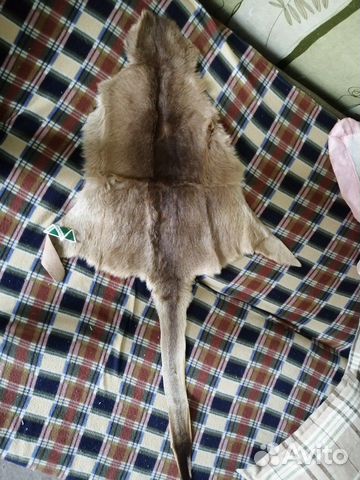 Новая шкурка кенгуру из Австралии Новая шкурка кенгуру из Австралии