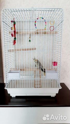 Большая клетка для птиц купить на Зозу.ру - фотография № 1