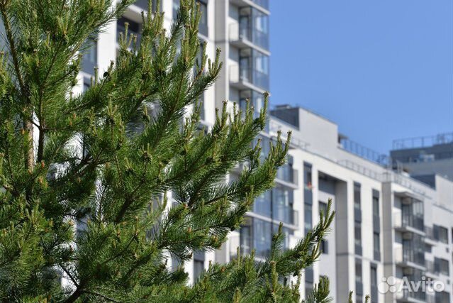 1-к квартира, 31.1 м², 5/16 эт.