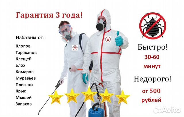 Уничтожение тараканов, клопов, клещей, насекомых Уничтожение тараканов, клопов, клещей, насекомых