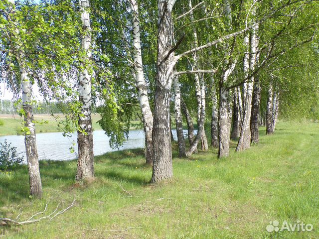 Участок 11 сот. (ИЖС) Участок 11 сот. (ИЖС)