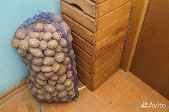 Картофель «Венета» сетка 25кг, бесплатная доставка