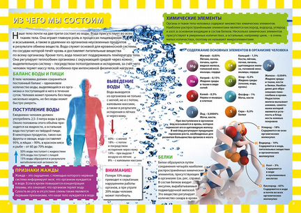 Тело человека