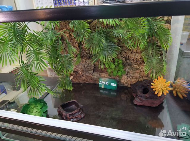 Террариум \ аквариум