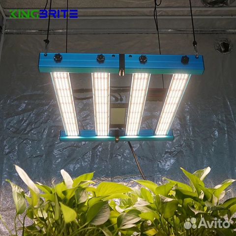 Quantum Board 240 Вт Samsung LM281B+UV IR