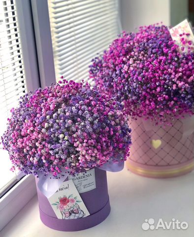 Цветы с доставкой гипсофила букет в коробке