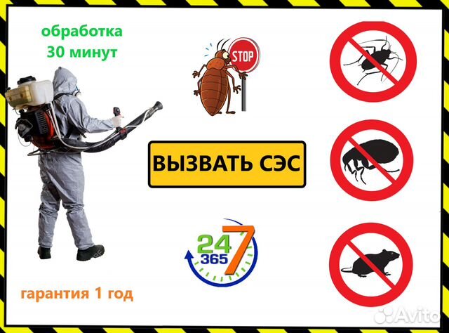 Вызов сэс