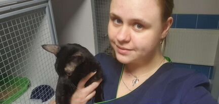 Ветеринарные услуги на дому