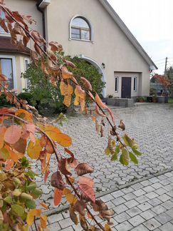 Дом 200 м² на участке 10 сот.