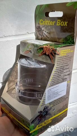 Корм, контейнер для мушек, мини светильник, терр