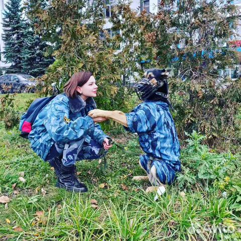 Кинолог - инструктор, дрессировка собак,передержка