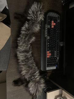 Воротник меховой натуральный