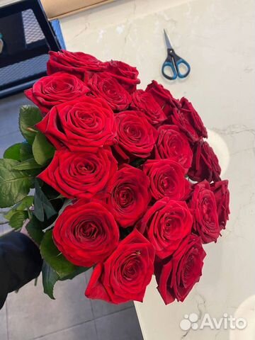 Розы красные. Розы 21 шт. Розы 51 шт