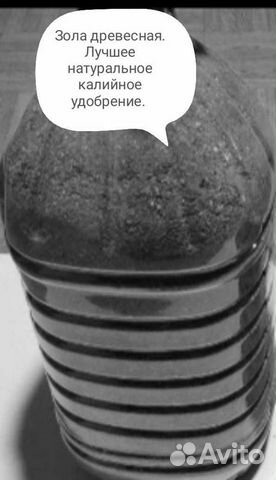 Зола древесная