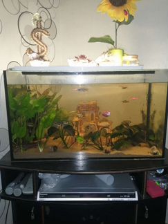Аквариум