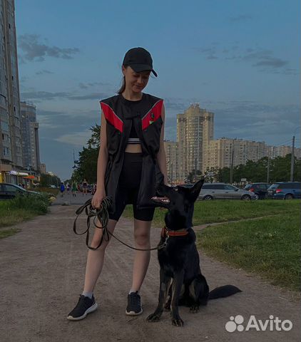 Кинолог / передержка с дрессировкой